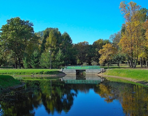Сад Девятого Января
